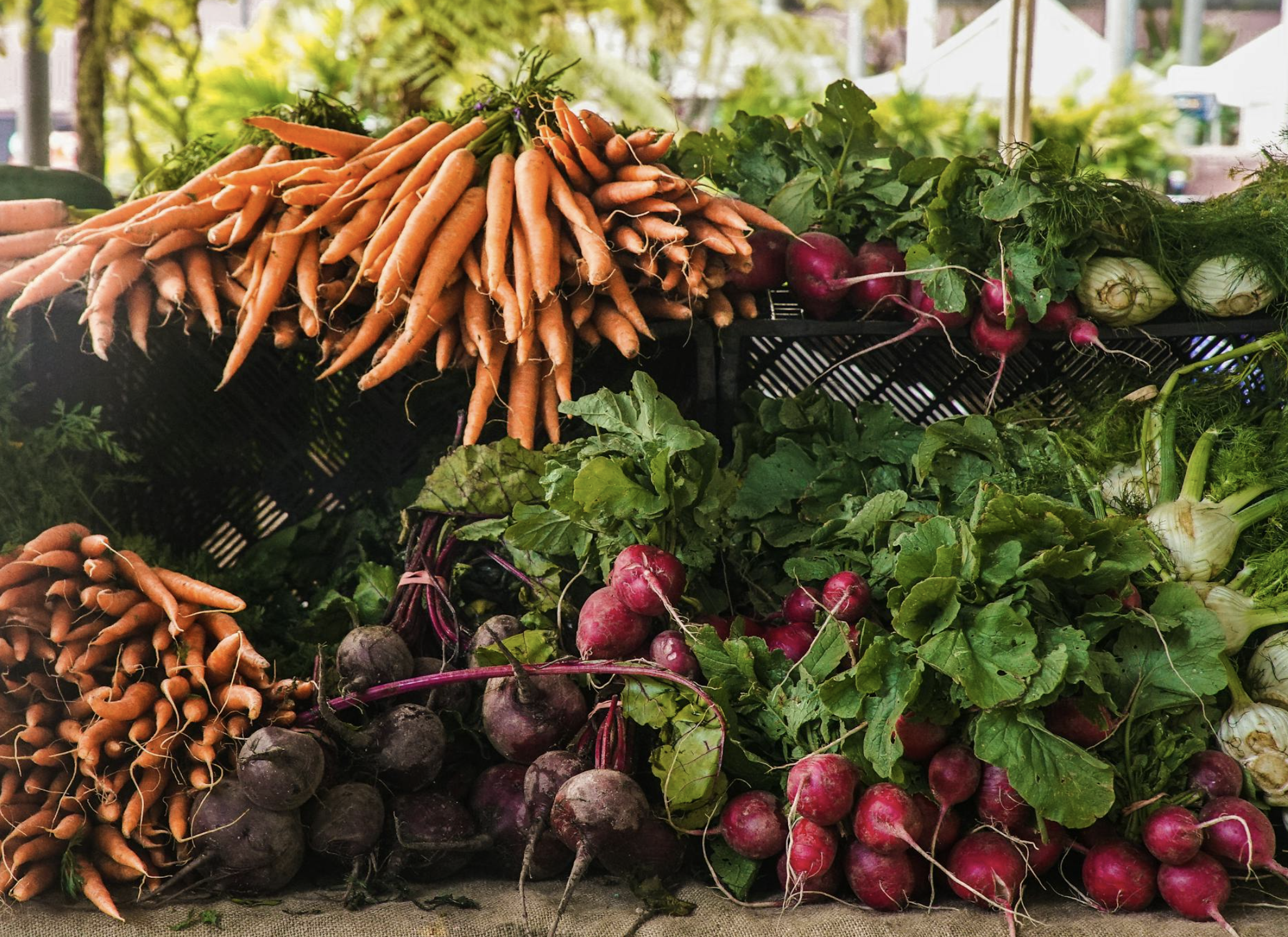 Why Organic Matters: Soil to Soul in Winter
